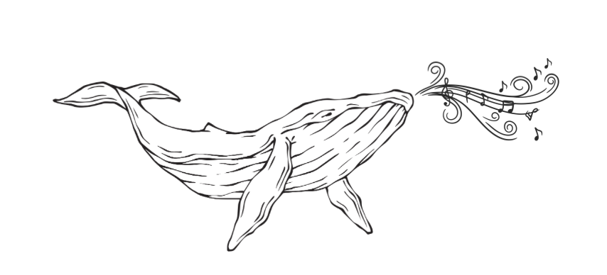 humpback with notes coming out of them