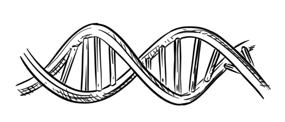DNA drawing