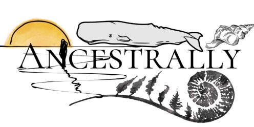 a whale, a sun, a fern, a shell, and a person looking into the beyond