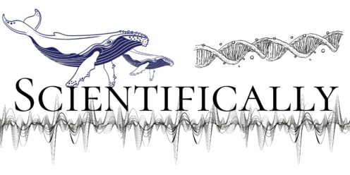 a whale and calf, a dna sequence, lots of sound