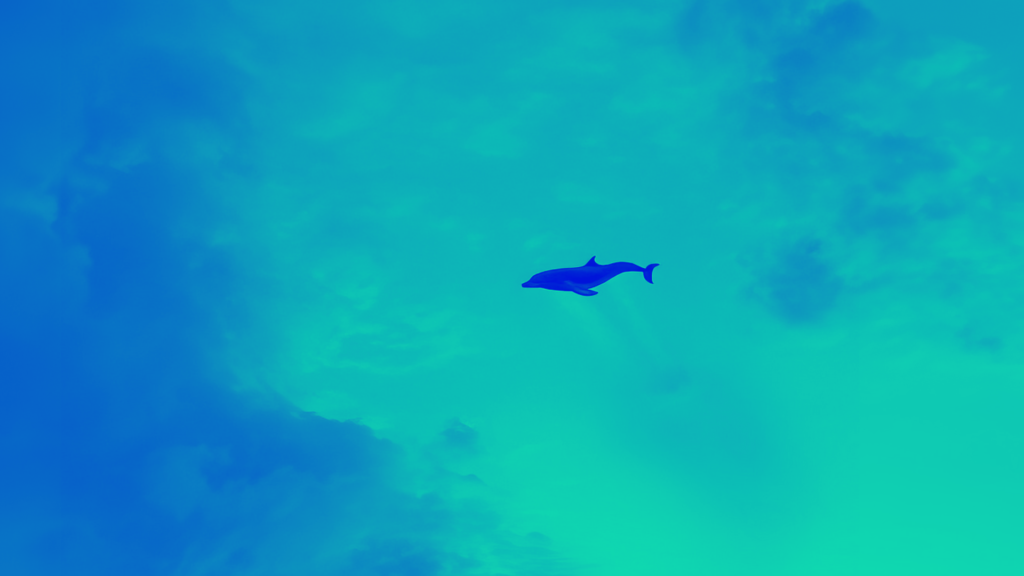 dolphin in the sky