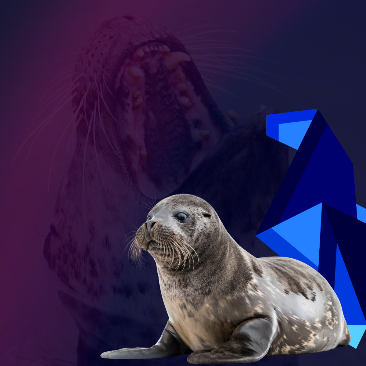 seal
