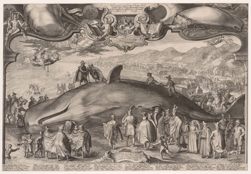 Jan Saenredam, Beached Whale near Beverwijk, 1601, 1602, engraving, collection Rijksmuseum Amsterdam.