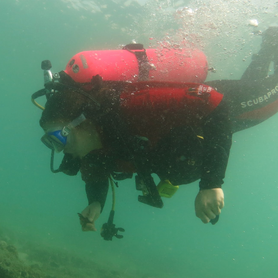 Becca diving in the ocean