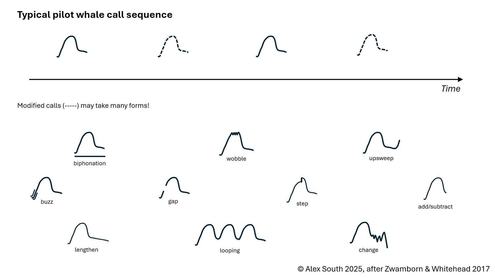 Graphic score inspired by pilot whale embellishments.