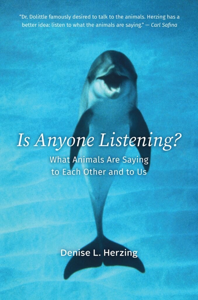 Herzing_Is anyone listening