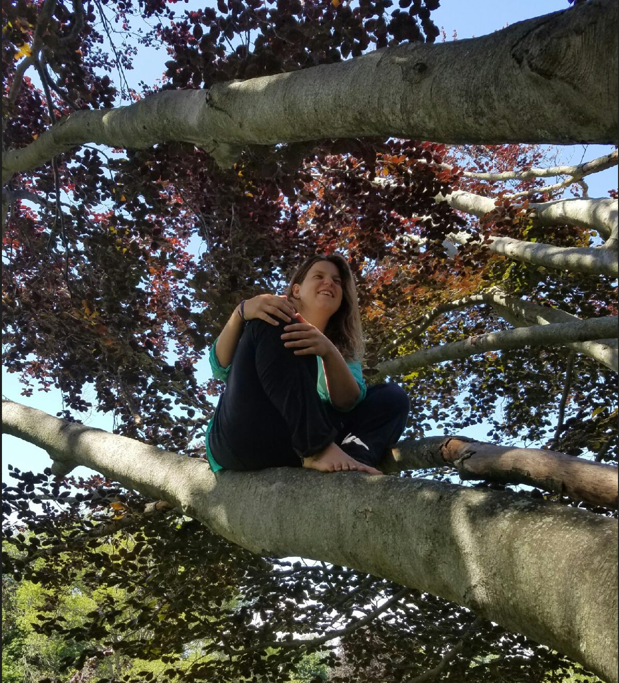 marie sitting on a beech tree