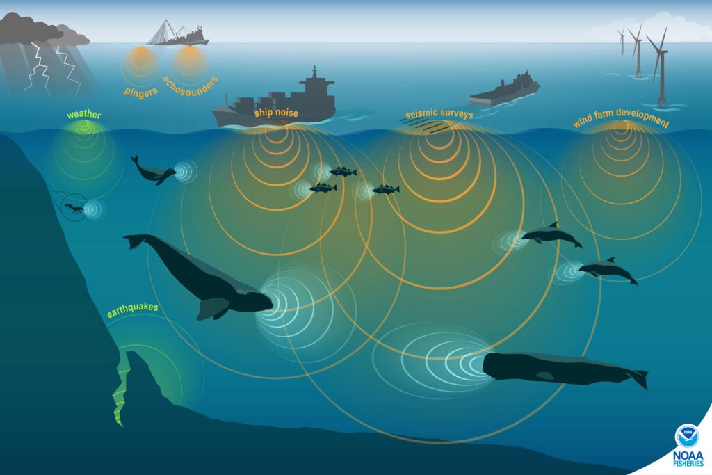 a visualization of sound pollution by the ocean -- created by NOAA
