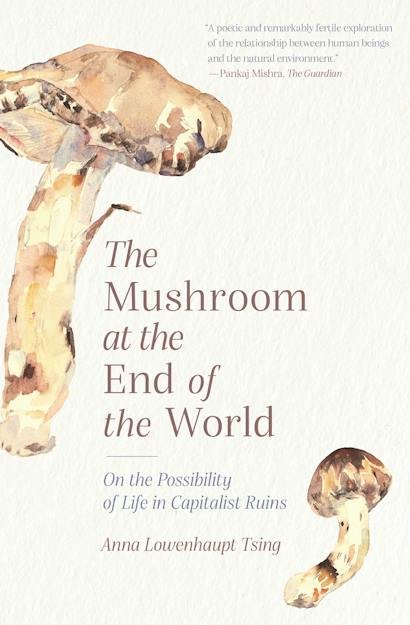 the mushroom at the end of the world, cover book of Anna Tsing