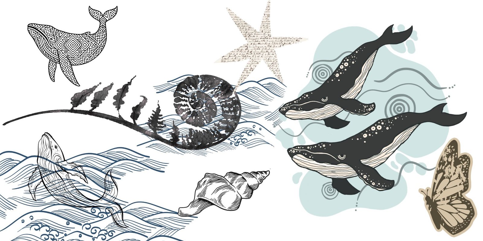 a collage with humpbacks, a fern, the ocean, a conch, and a butterfly