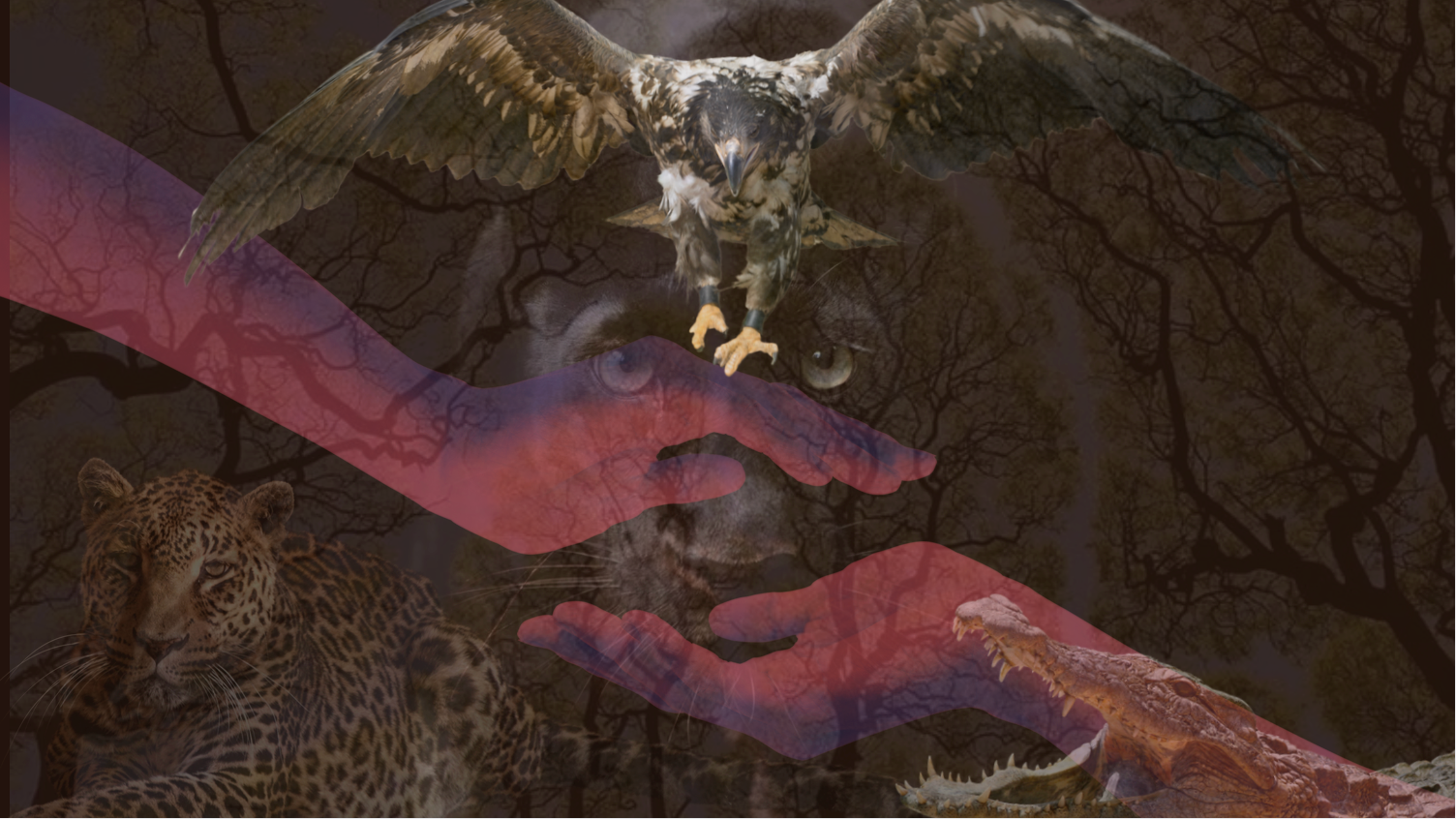 Collage: hand holding the world, holding a jaguar, being held by an eagle.
