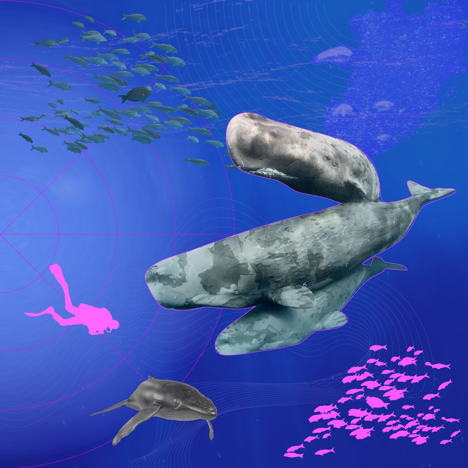collage by Wer Ziemian representing cetaceans, fishes, and humans swimming together