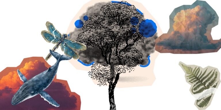 collage of trees and whales