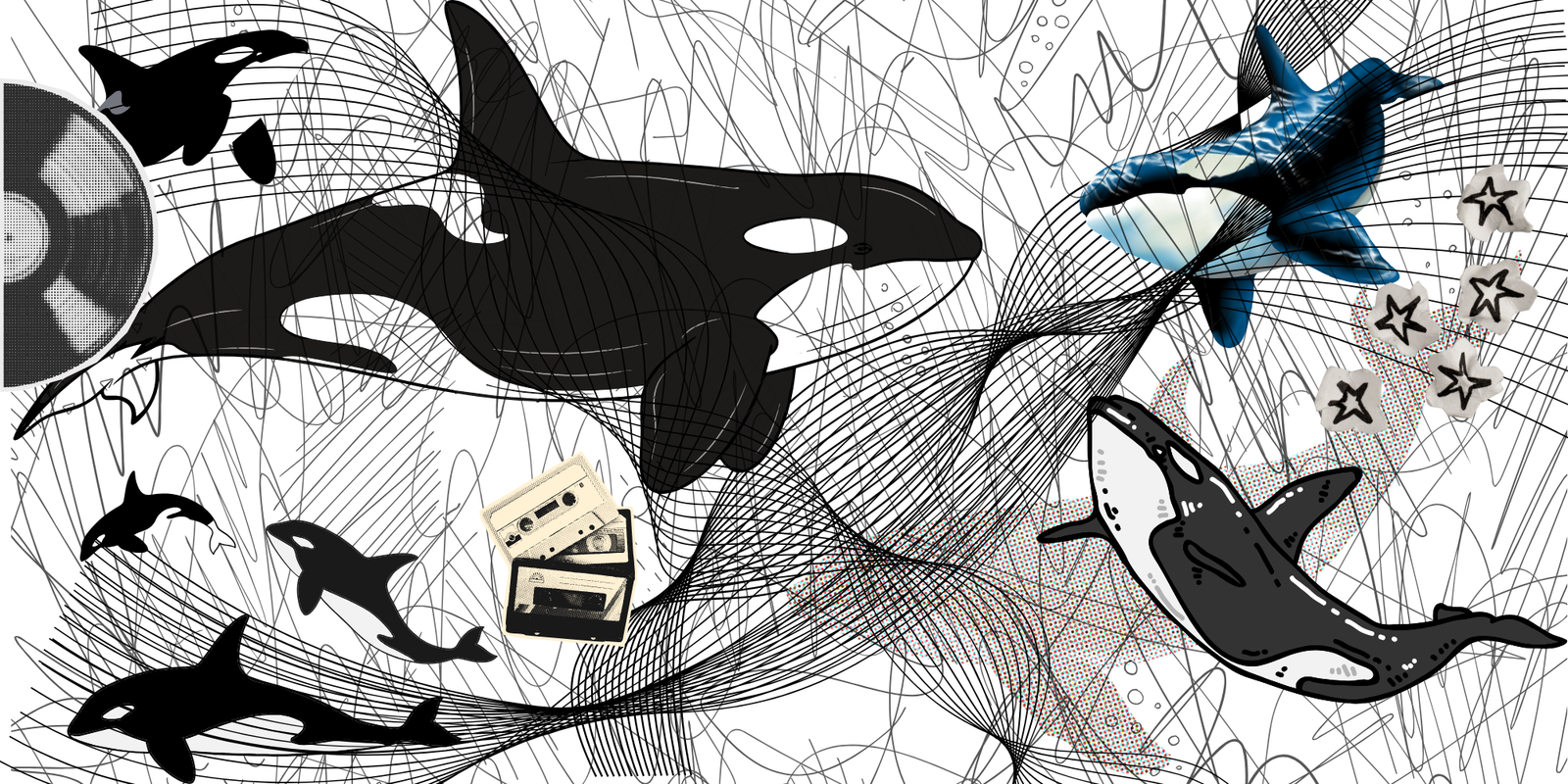 orcas made by marie comuzzo