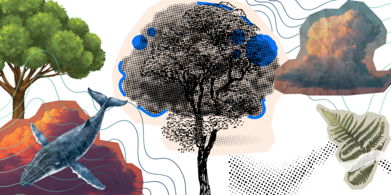 trees made by marie comuzzo